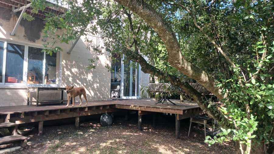 To Let 2 Bedroom Property for Rent in Walmer Heights Eastern Cape